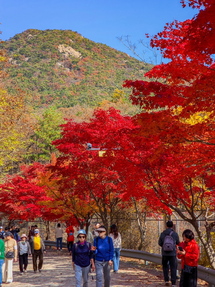  안양예술공원 여행, 서울대학교 관악수목원 상시개방 방문 후기(주차장, 가는법, 소요시간)