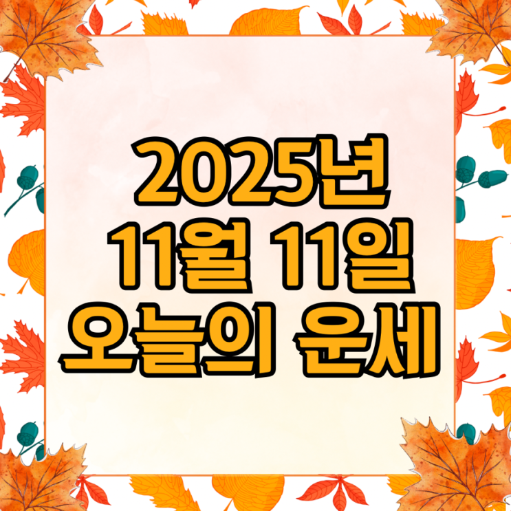  2025년 11월 11일 운세 오늘의운세 띠별운세