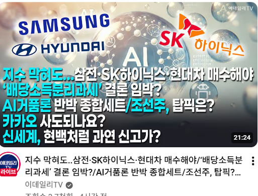 삼전·SK하이닉스·현대차 매수해야/‘<b>배당소득분리과세</b>’... 