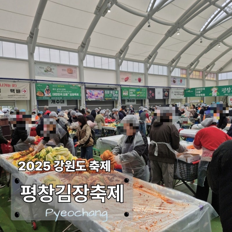 2025平昌高冷地キムジャン祭り予約訪問、キムジャン祭りを直接体験したレビュー