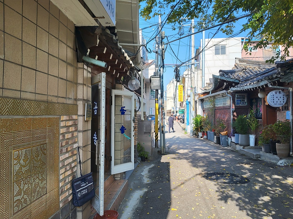 곰솔 사진 3