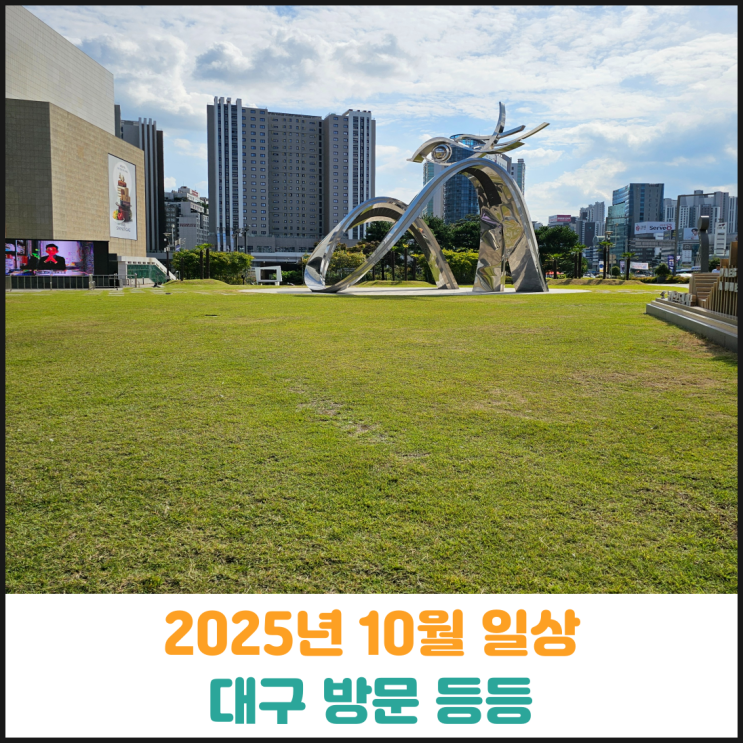  2025년 10월 일상, 대구 방문 등등
