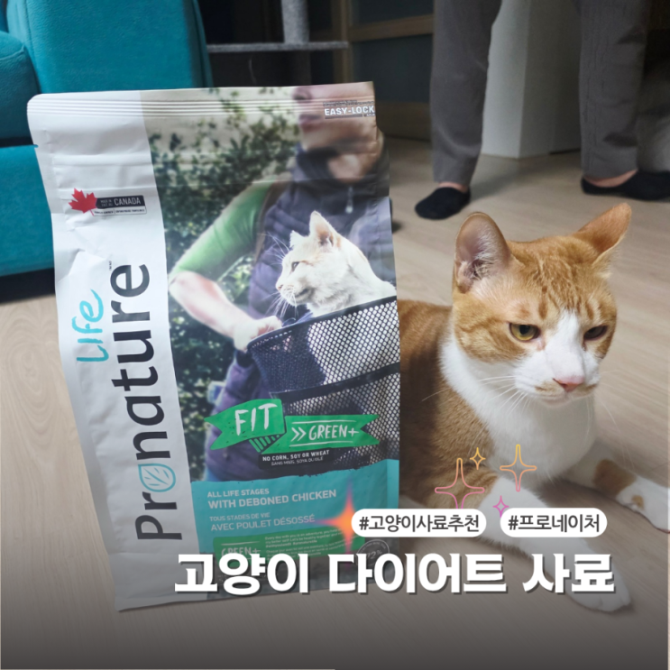  프로네이처 고양이 다이어트 사료 솔직 사용후기