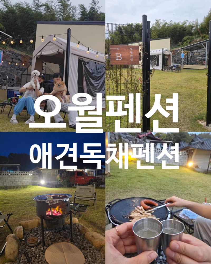 사진 11