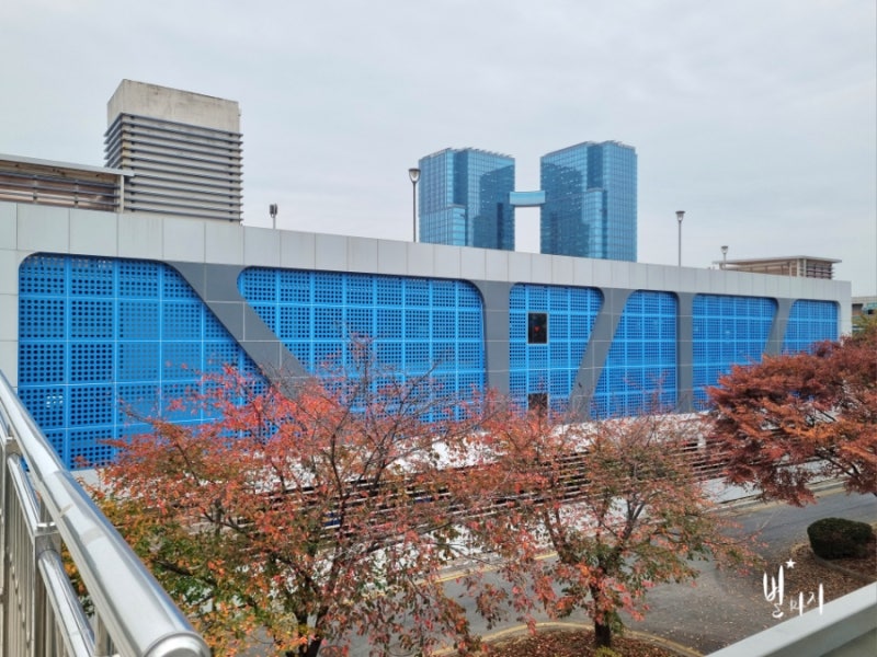 사진 6