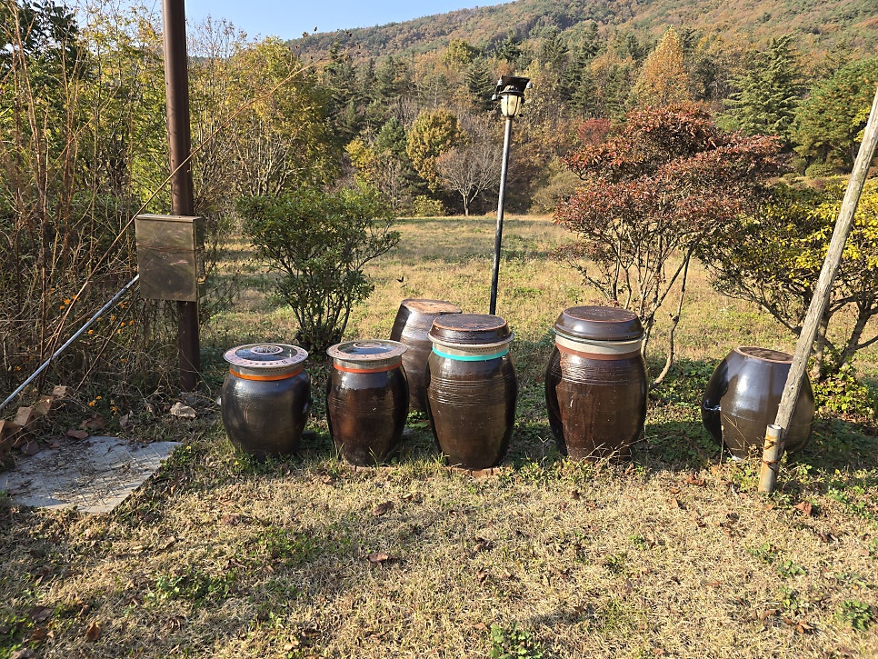 감봉산 사진 4