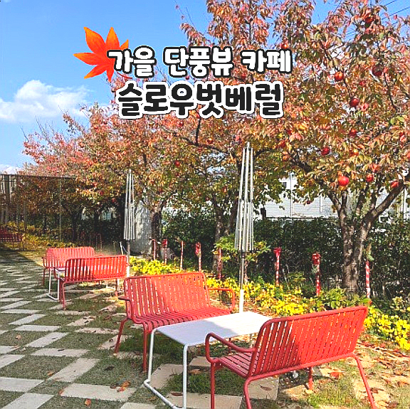  대구 동구 대형카페 슬로우벗베럴 가을 단풍뷰 카페