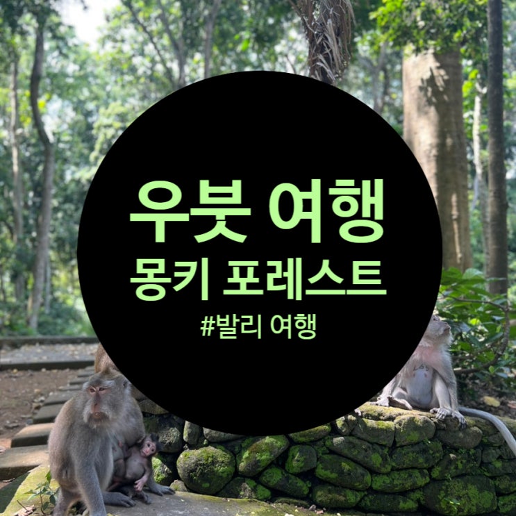  발리 여행 : 우붓 몽키 포레스트 후기(내돈 내산 개인 택시 투어 추천)