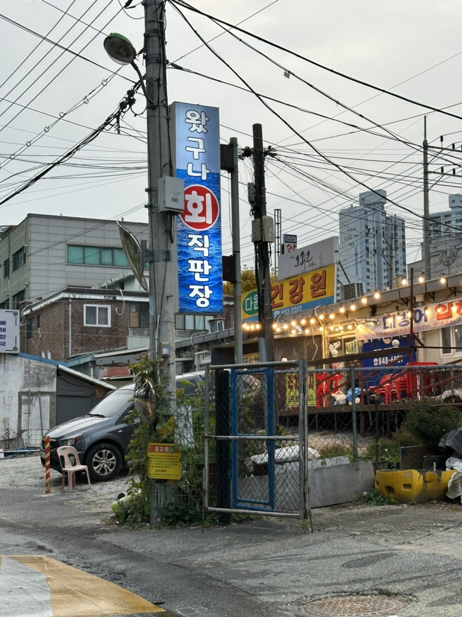 왔구나회직판장 사진 3