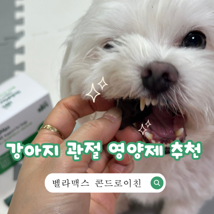  강아지 관절 영양제 슬개골 영양제 펠릿형으로 간편하게 챙기세요! 벨라맥스 콘드로이친