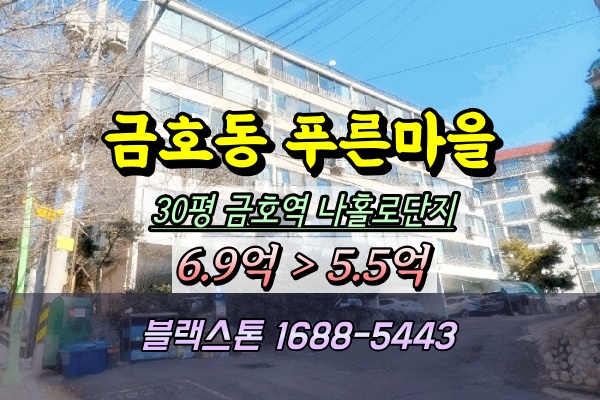  금호동 푸른마을아파트 경매 30평 성동구 나홀로단지 매매