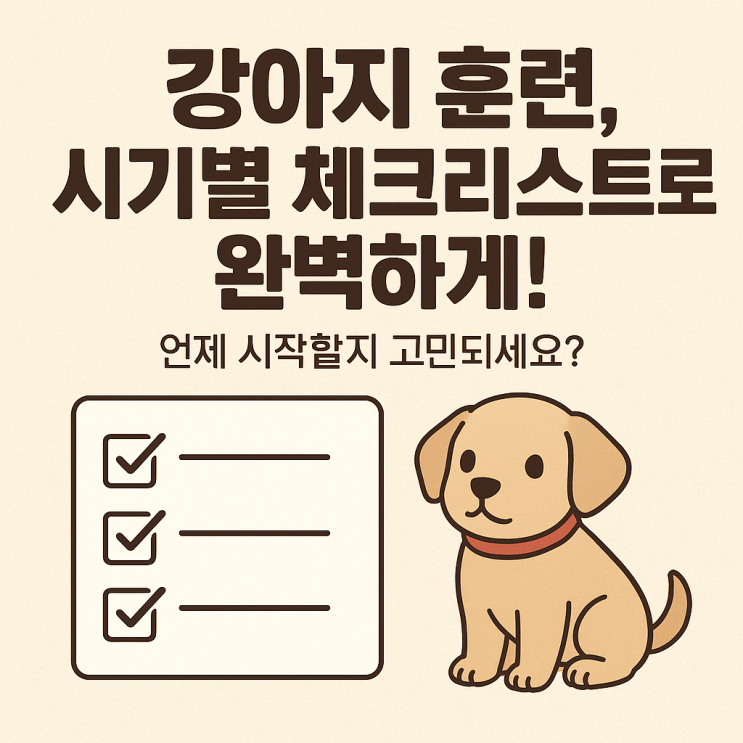  강아지 훈련 시기별 체크리스트: 나이에 맞는 훈련으로 건강한 반려생활 만들기