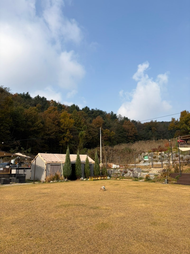사진 4