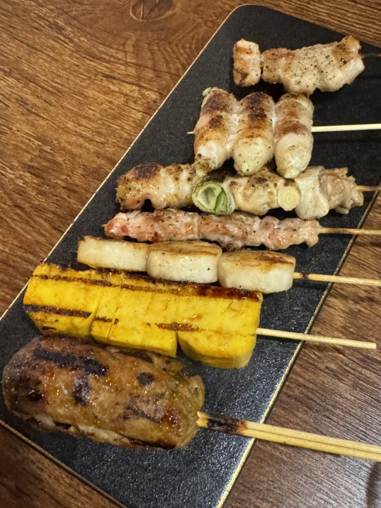  시청역 안주맛집 이자카야 시청꼬치 맛있는 열정꼬치