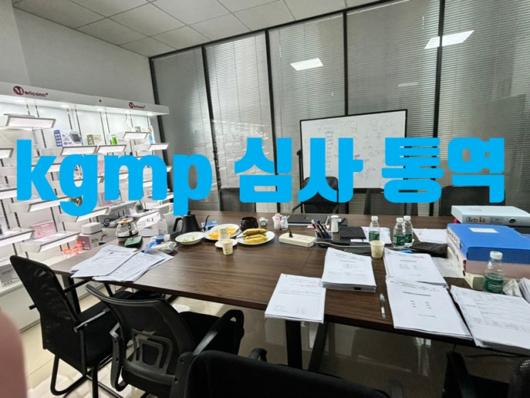  GMP/KGMP 심사 통역 후기|경험 공유 with 중국현지통역/상해통역/상하이통역/장쑤성통역/난징통역 monica