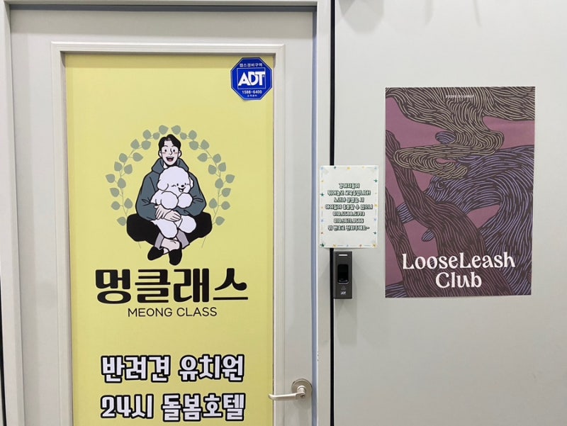 사진 2