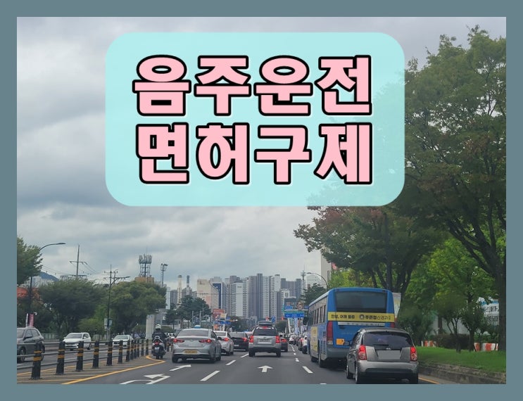  부산음주운전행정사 면허 필요한 분만 보세요