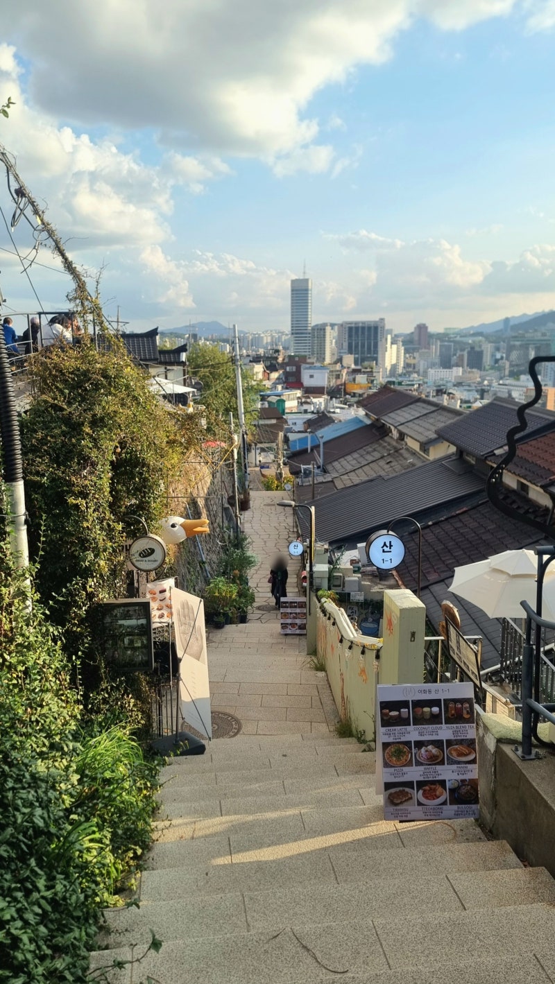 사진 6