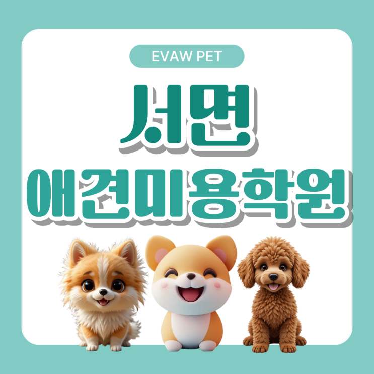  서면애견미용학원, 반려동물 산업의 중심에서 전문 커리어를 완성하다
