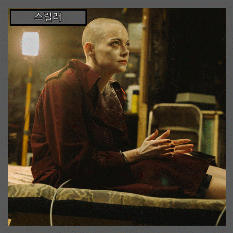  [스릴러] '부고니아-Bugonia' 광기와 현실이 뒤섞인 블랙 코미디의 진수 (줄거리 리뷰 분석 후기)