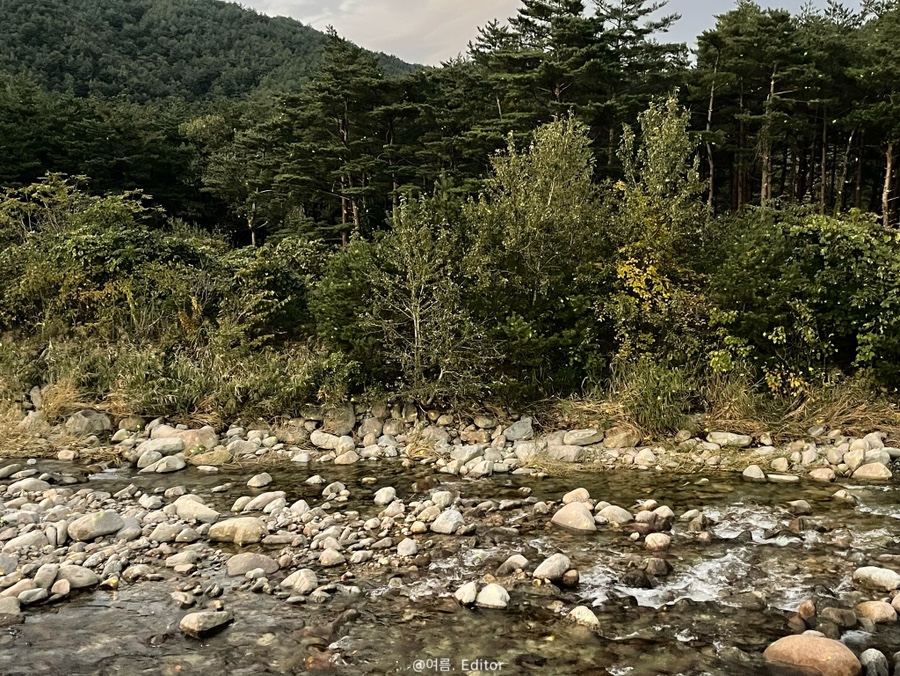 설악촌식당 사진 3