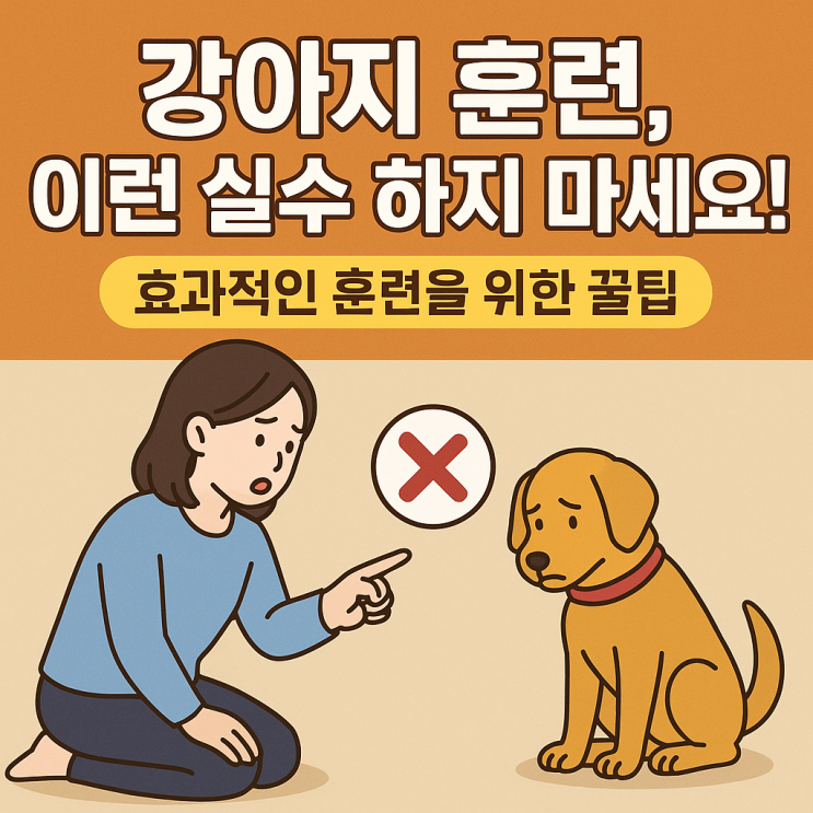  강아지 훈련 중 자주 하는 실수: 반려견과의 소통을 더 원활하게 하기 위한 교정법