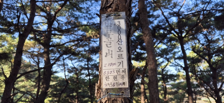 밤무골산 사진 2