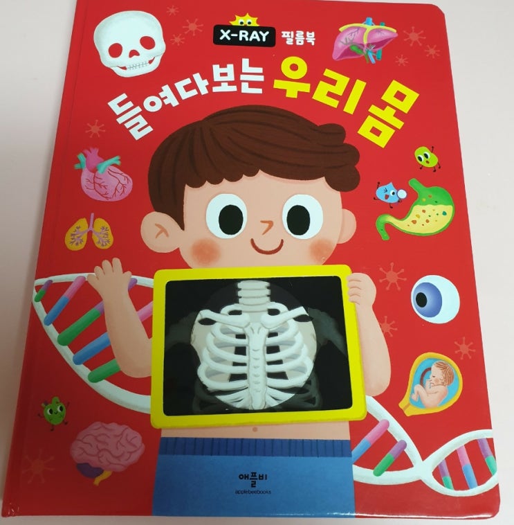  X-RAY 필름북 들여다보는 우리몸 후기