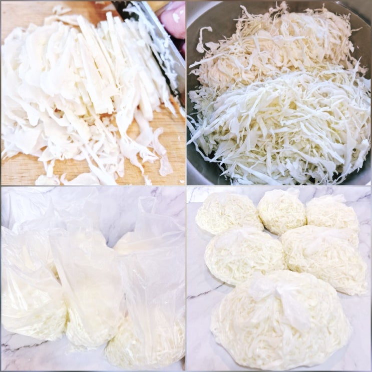  양배추 한 통 사서 버리지 않게 손질 신선도 유지되는 소분 보관법