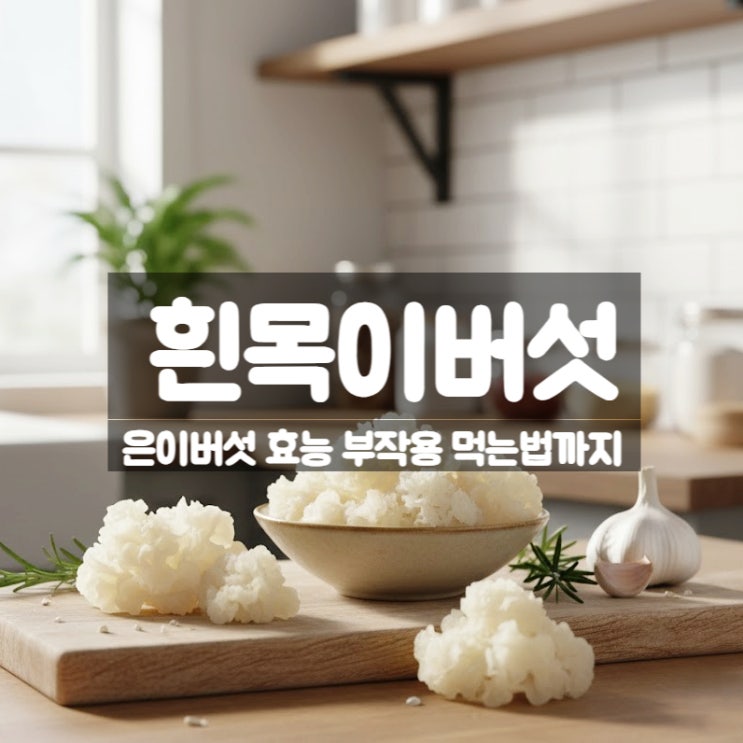  흰목이버섯 은이버섯 효능 부작용 먹는법 – 절세미녀 양귀비의 피부비결 백목이