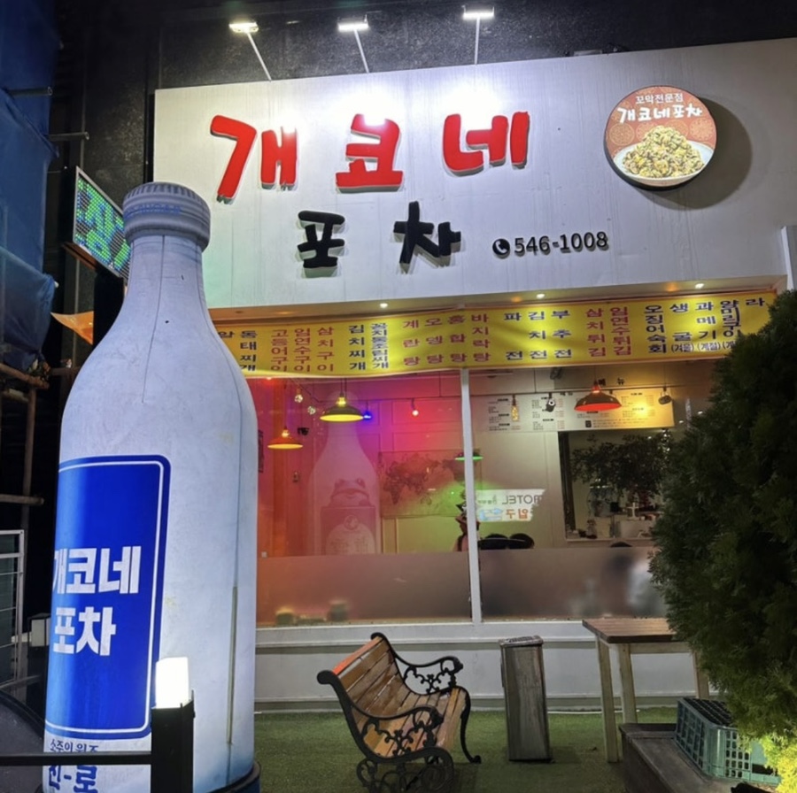 개코네포차 사진 1