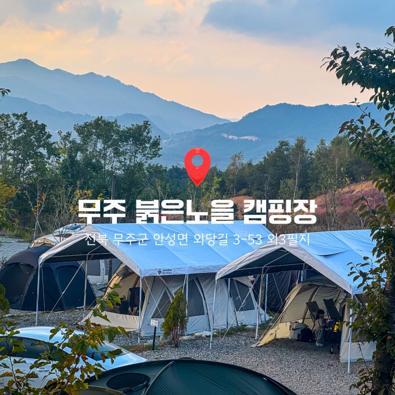 사진 8