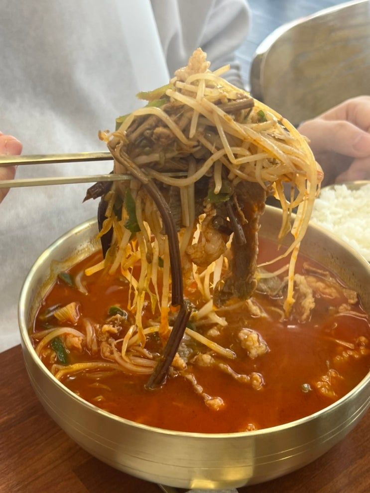  부천 육개장 맛집 육회장에서 차돌육개장과 육회 반근 먹은 후기