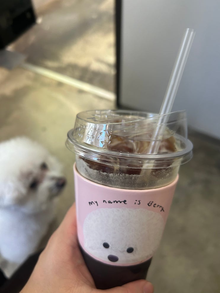  [안암역] 귀여운 강아지와 함께하는 커피 한잔 <애견카페 러프>