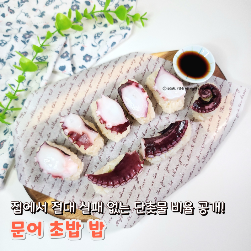 집에서 절대 실패 없는 단촛물 소스 비율 공개! 문어 초밥 밥 만들기