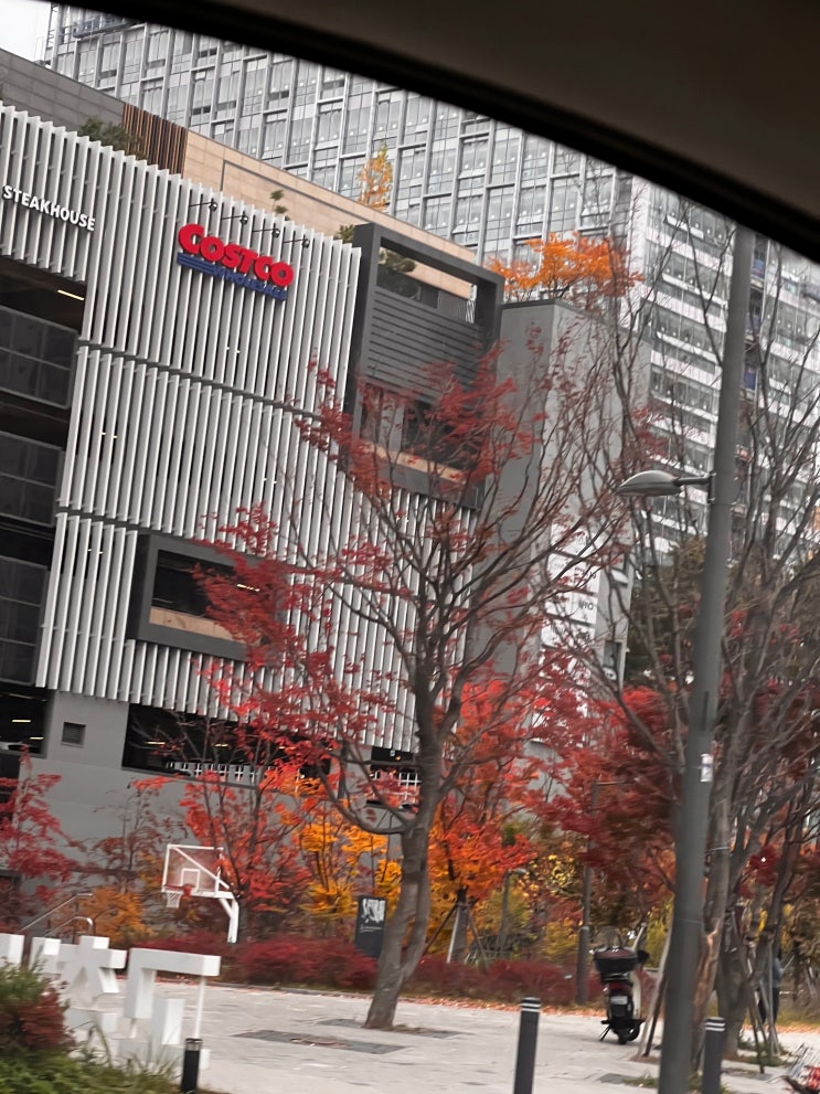  코스트코 블랙프라이데이 아이와 같이 장보기