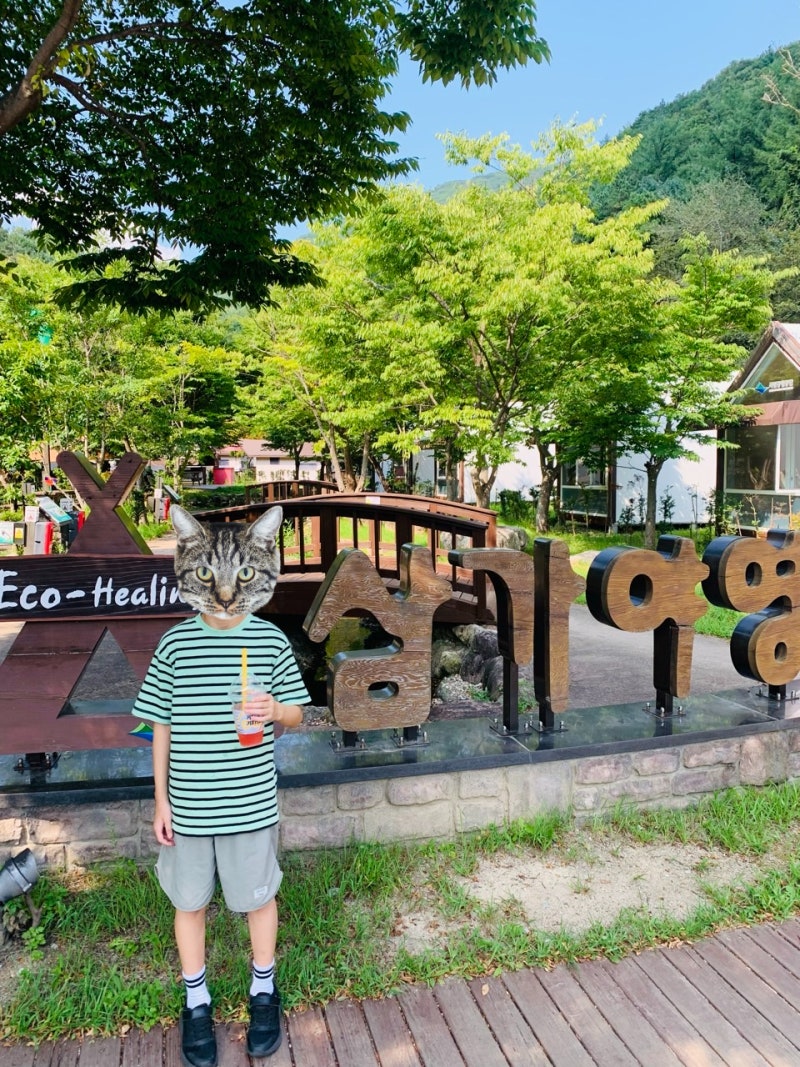 국립공원공단 예약 숙소 추천 영주 소백산 삼가야영장 산막텐트