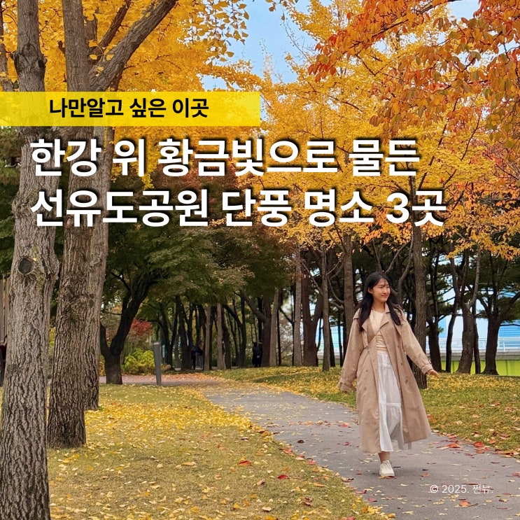  주말에도 사람 없는 '서울 단풍명소 선유도 한강공원' 야경까지 예쁠 줄이야
