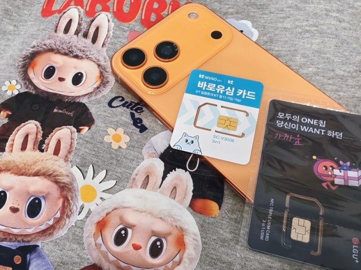  태블릿소유자회원번호 뜻 2470039 중고폰에 선불폰개통
