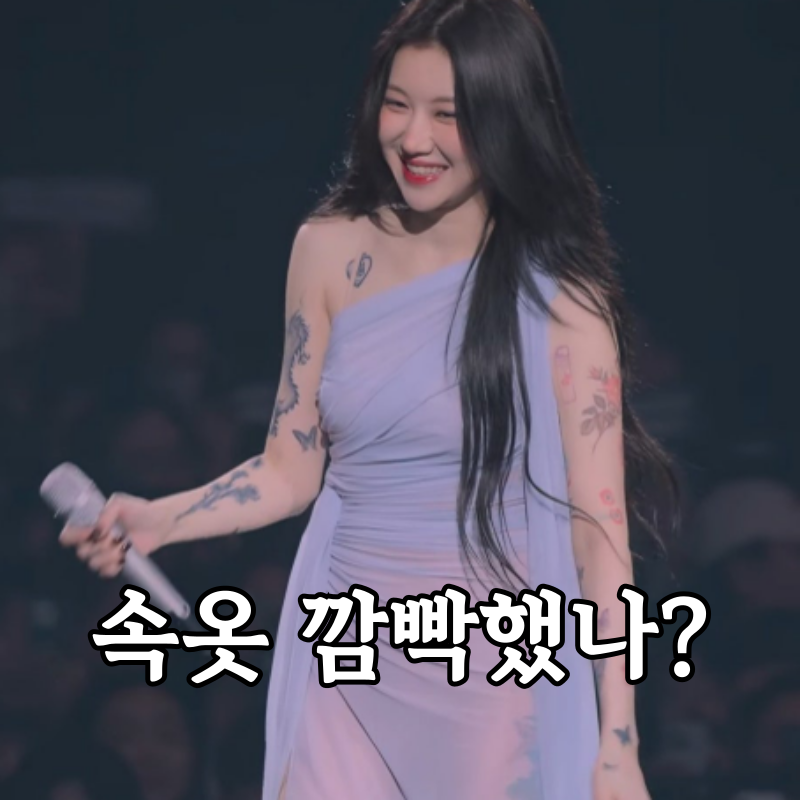 안에 입은거 맞지? 백예린 너무 야한 콘서트 시스루 드레스 패션
