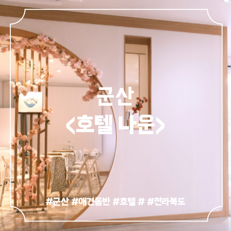 [군산 호텔나운] 군산 / 호텔 / 애견동반 / 애견동반호텔 / 애견동반숙소 / 군산숙소 / 군산펜....