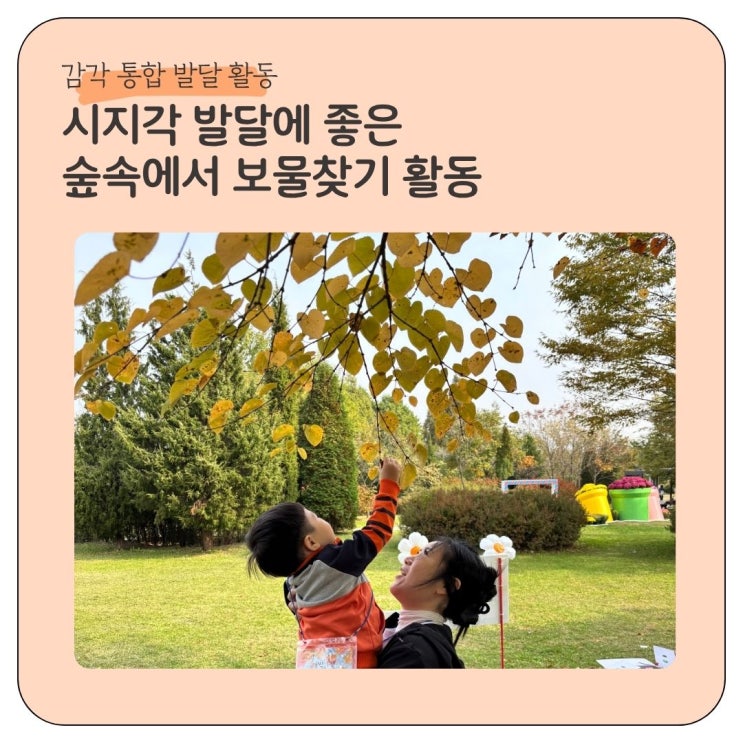  감각통합 시지각발달에 좋은 숲속에서 보물찾기 활동