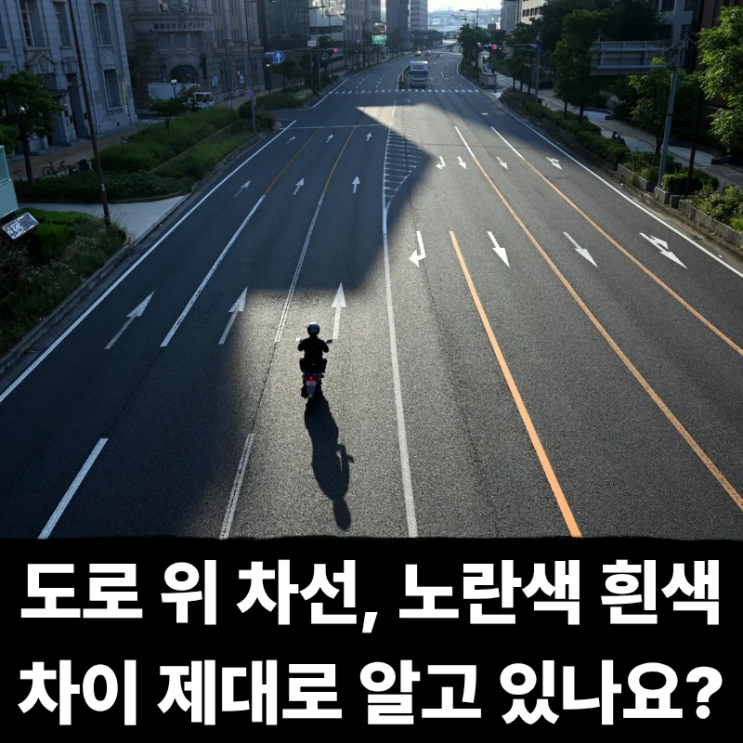  도로 위 차선, 노란색 흰색 차이 제대로 알고 있나요?