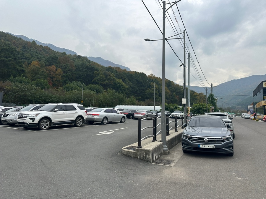 황실흑염소 사진 3