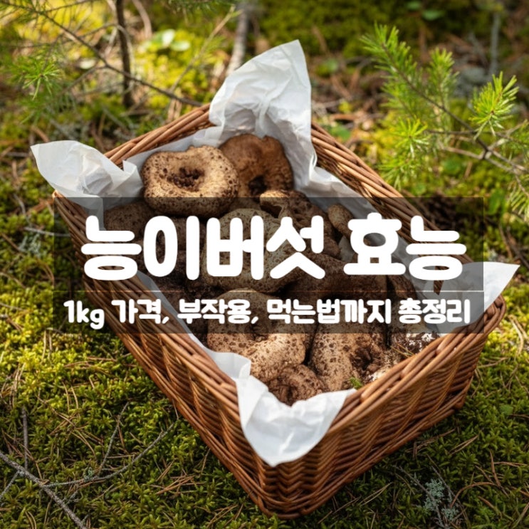 능이버섯 효능1kg 가격 데치기 먹는법 - 차 전골 백숙으로 건강 챙기기