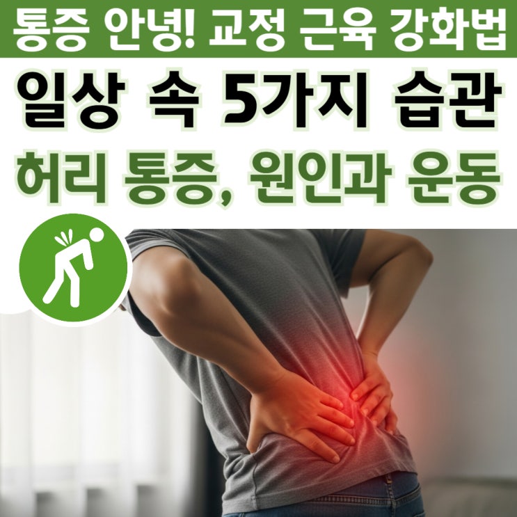  허리 통증 안녕! 일상에서 지키는 5가지 습관 & 근력 운동법