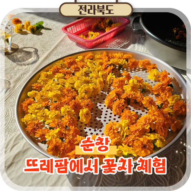  순창 농장체험 뜨레팜, 치유농장에서의 꽃차 힐링!