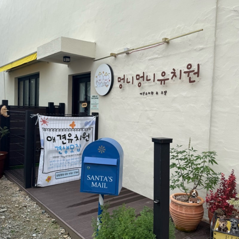사진 3