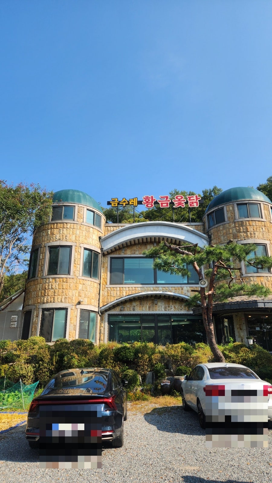 금수레황금옻닭 사진 1