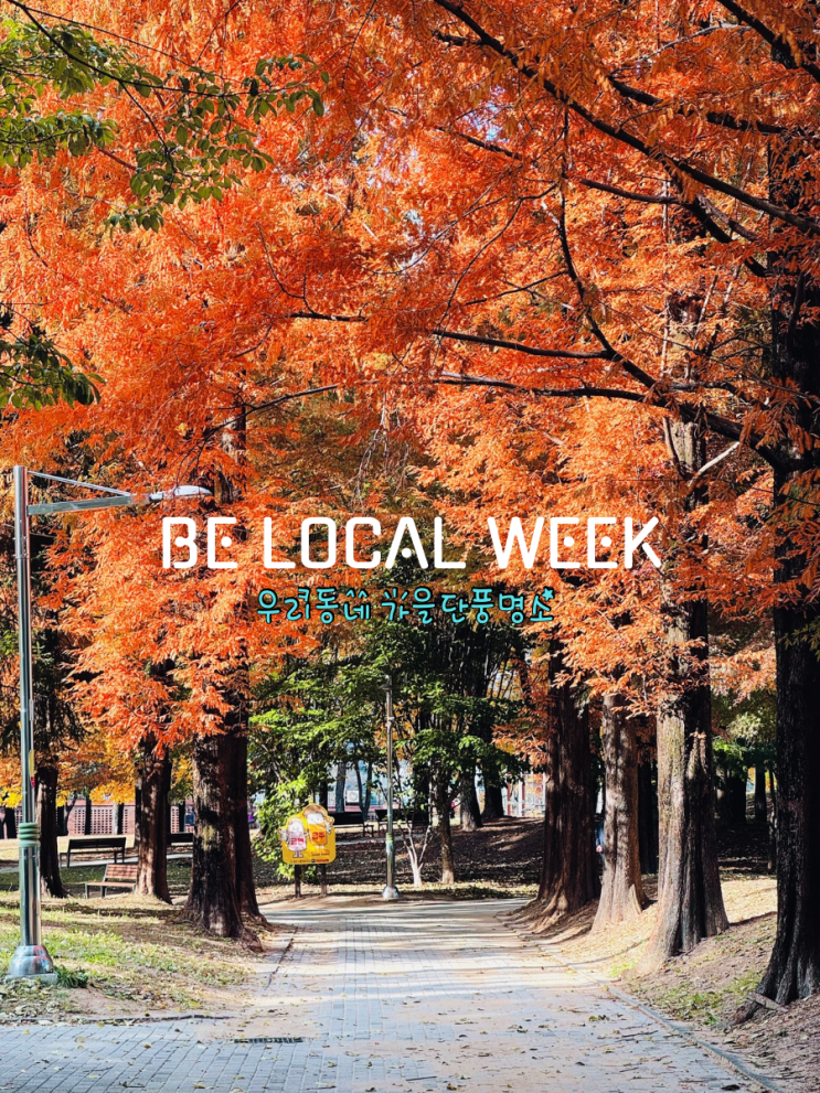  BE LOCAL WEEK 청주 단풍놀이 명소 여행